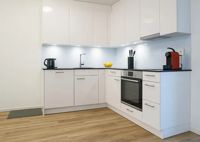 Apartmán Rehwiesa C04 - Gemuetliches - By